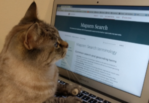 A cat reading documentation